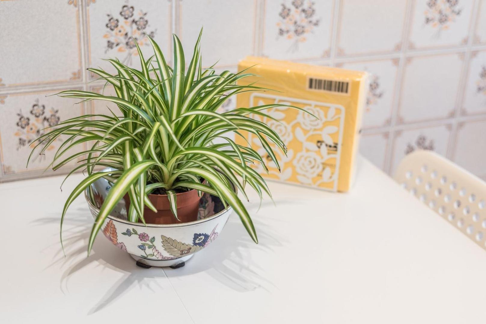 Guestready - Eclectic Haven In The Heart Of Porto Apartment Exterior foto